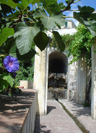 Giardino della Minerva